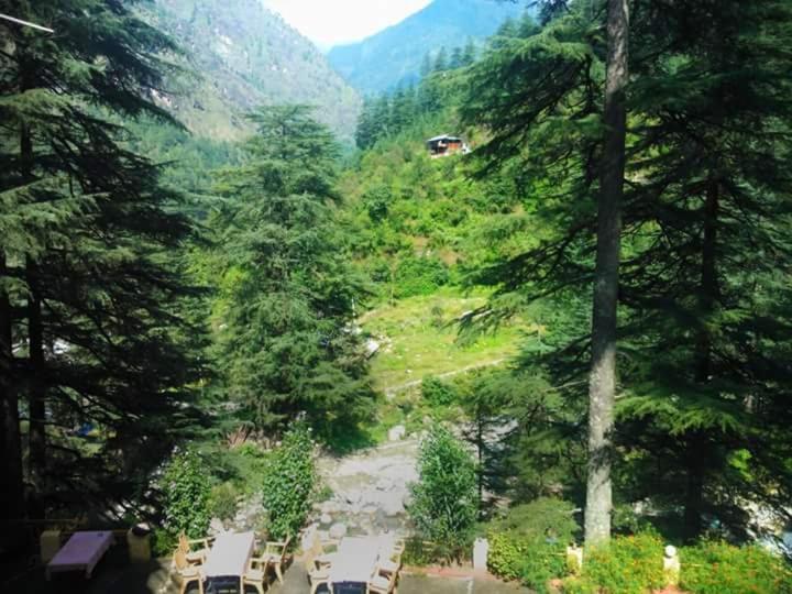 Hotel Deep Forest Kasol Εξωτερικό φωτογραφία
