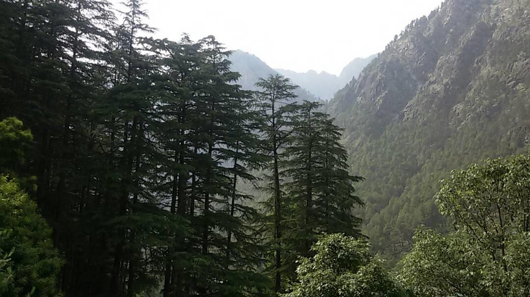 Hotel Deep Forest Kasol Εξωτερικό φωτογραφία